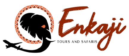 Sabi Sands Game Reserve