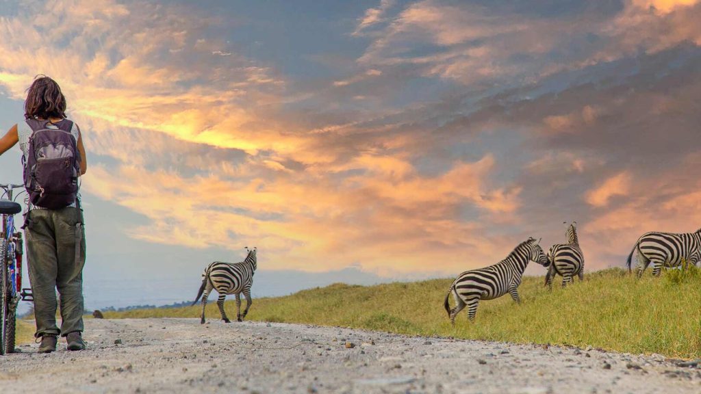 MASAI MARA CONSERVANCIES