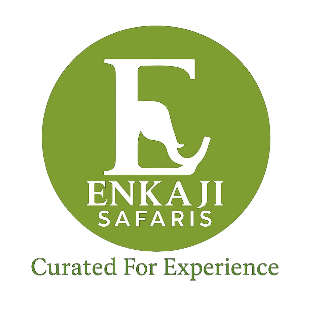 Comprehensive Wildlife Photographers Guide (Kenya &Tanzania)