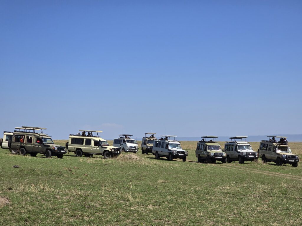 Enkaji Safaris