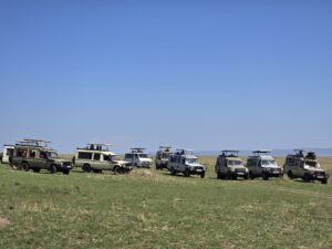 What to Expect on a Luxury African Safari — A First‑Timer’s Guide