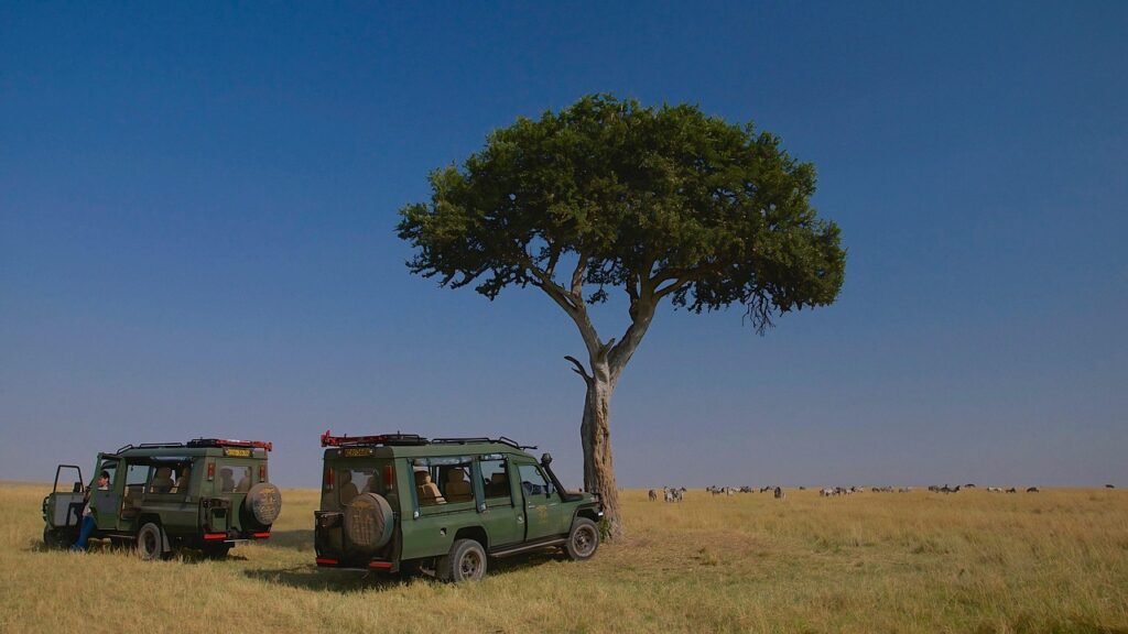 12 Days Kenya Safari & Beach Experience