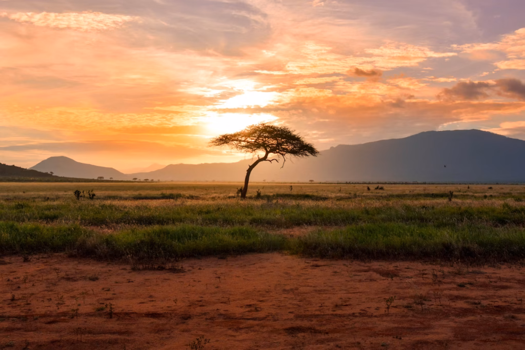 7 Days Classic Northern Tanzania Safari