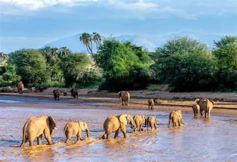 Samburu National Reserve